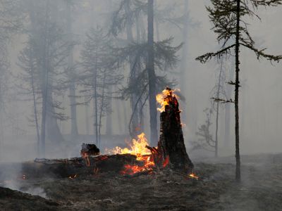 Фото: Василий Купер / AP